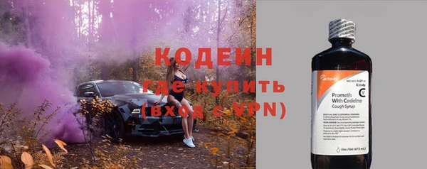 гидра Богородск