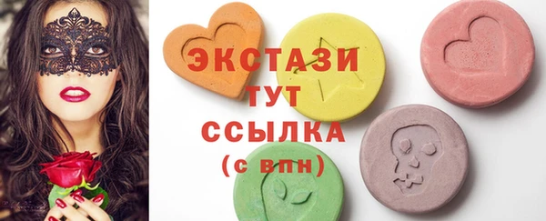 гидра Богородск