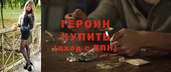 гидра Богородск