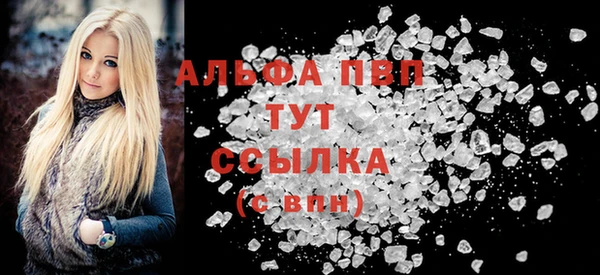 гидра Богородск