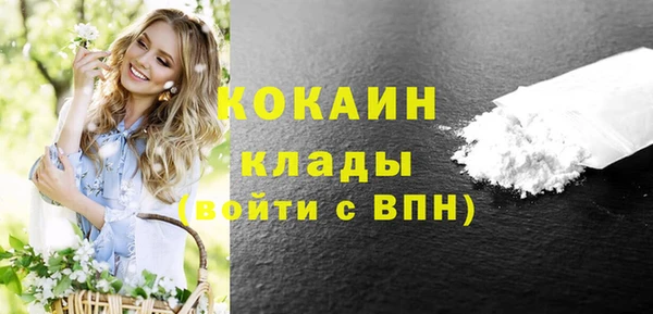PSILOCYBIN Богородицк