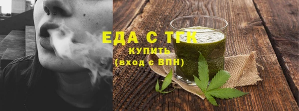 гидра Богородск