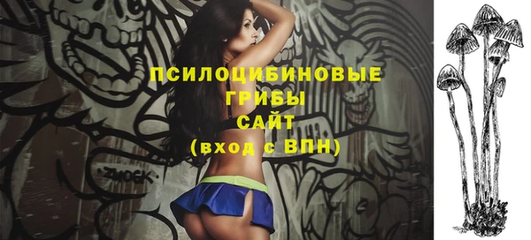 гидра Богородск