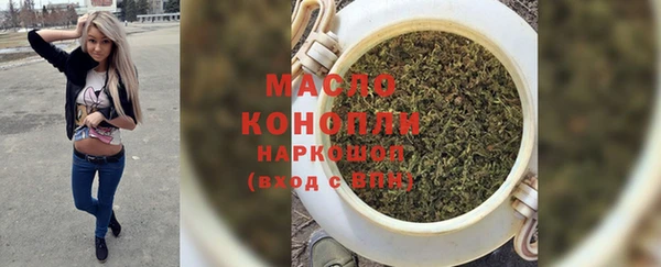 гидра Богородск