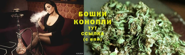 PSILOCYBIN Богородицк