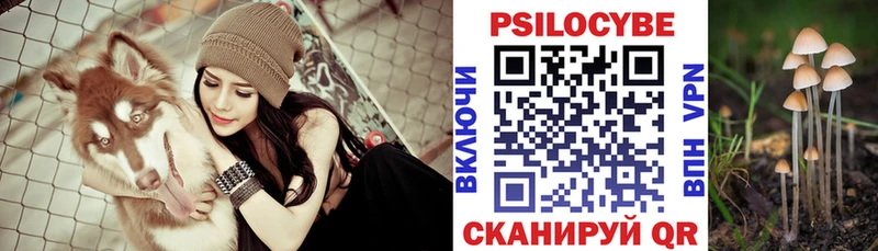 ссылка на мегу как войти  Кировград  Галлюциногенные грибы MAGIC MUSHROOMS 